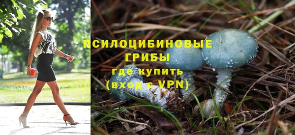 скорость Абаза
