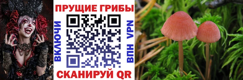 Галлюциногенные грибы мухоморы  Калачинск 