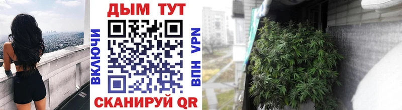 Бошки Шишки конопля  Калачинск 